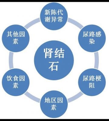 如何预防肾结石