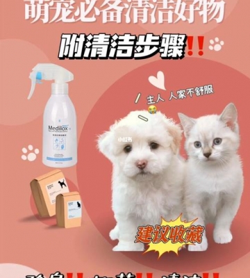 如何保持宠物清洁