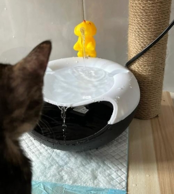 怎么自制宠物饮水器