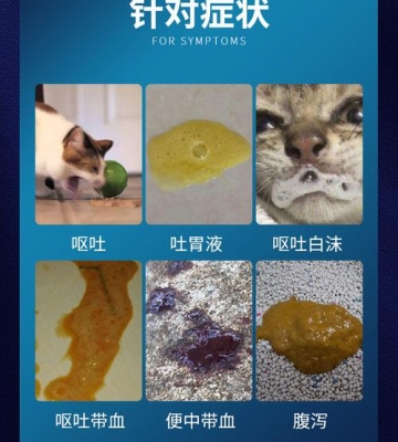狗狗肠胃病吃什么药