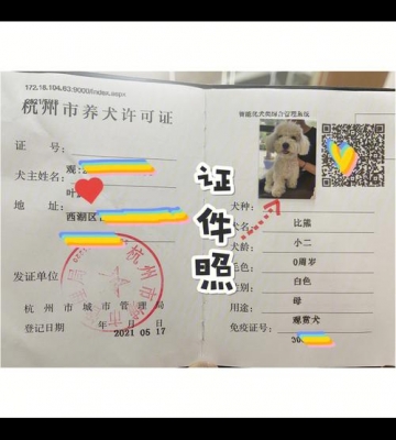 宠物店需要什么执照