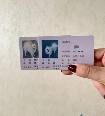 宠物办狗证怎么办