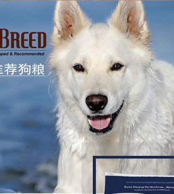 美国极誉狗粮怎么样