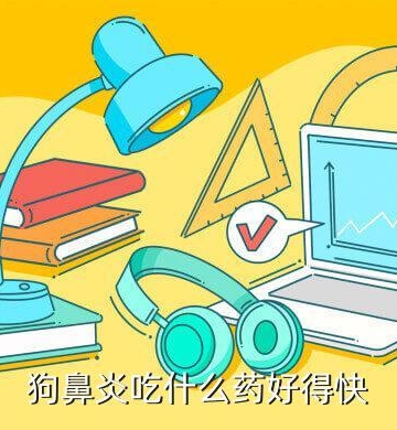 小狗患鼻炎吃什么药