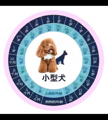小狗怎么算年龄