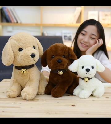 狗狗过生买什么礼物