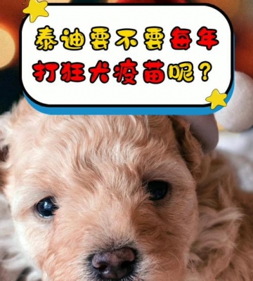 泰迪疫苗几联是什么意思