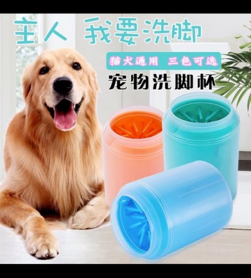 怎么训练狗狗回家洗脚